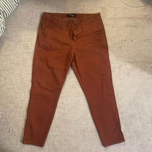Burnt orange pants